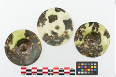 Foto von Bronzephalere (NHMW-PRAE-003459)